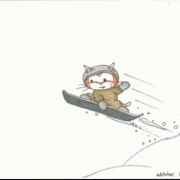 Ride. It's not a well known fact, but cats enjoy riding the snow just as humans do!