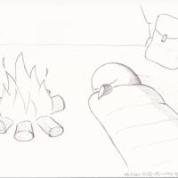 28 - Camping. Tired bird sleeping in her sleeping bag next to a campfire during a long migration!
